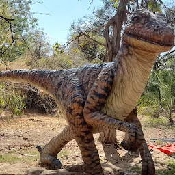 Dinosaur And Fossil Park Gandhinagar