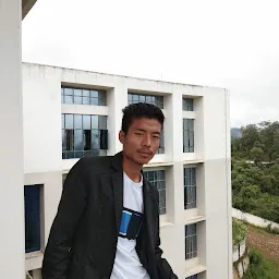 Directorate of Information Technology & Communication, Kohima