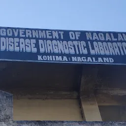 Disease Diagnostic Laboratory