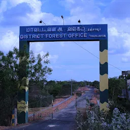 District Forest Office