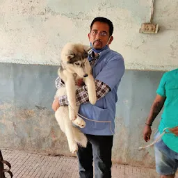 District Veterinary Polyclinic, Amravati (Animal Hospital)