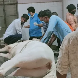 District Veterinary Polyclinic, Amravati (Animal Hospital)