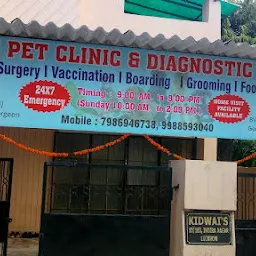 Divine Pet Clinic & Surgery Centre