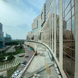 DLF Building 14