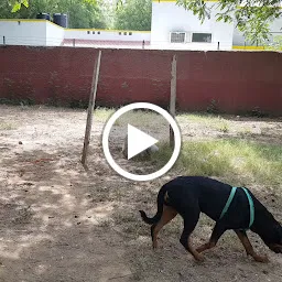 Dog Park - National Media Centre