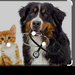 dog pets Clinic