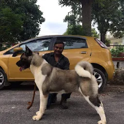 Dog Trainer Manoj Yadav