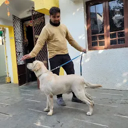 Dog Trainer Vadodara