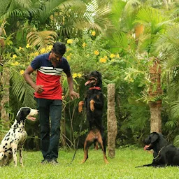 Dog Boarding Trivandrum special grooming in Trivandrum training
