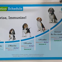 Doggies Zone and Medicals N Pet Grooming N Pet Spa