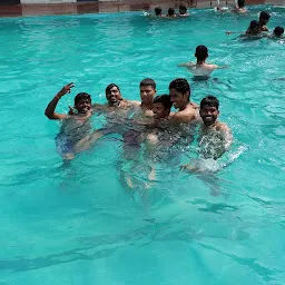 Dolphin Swimming Pool