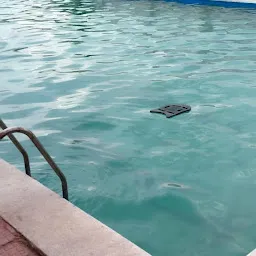 Dolphin Swimming Pool