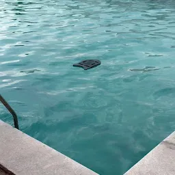 Dolphin Swimming Pool