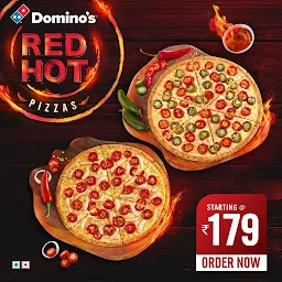 Domino's Pizza - Vivek Vihar Colony