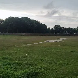 Downtown cricket playground