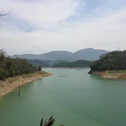 Doyang Dam