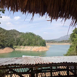 Doyang Dam