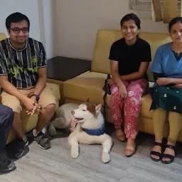 Dr Dog Pet Hospital