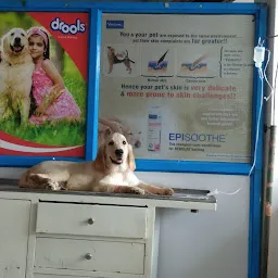 Dr Ramesh Dog The Pet Hospital