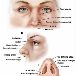 SIYARAM HOSPITAL Dr. Jitendra Singh Yadav - ENT, Skull Base and Head Neck Oncosurgeon