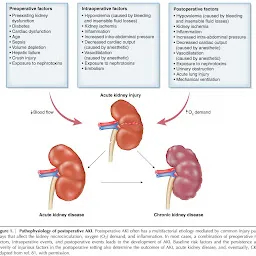 Dr. Nitin Kumar | Best Nephrologist in Patiala