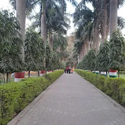 Dr. Ram Manohar Lohia Ecological Garden and Park (Company Garden) Etawah