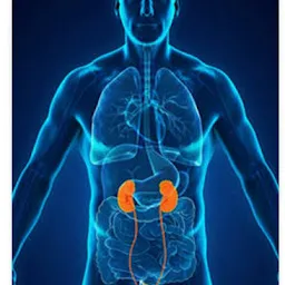 Dr. Shailesh Kakde - Nephrologist |Best Nephrology Clinic in Pune | Kidney Specialist, Kidney Dialysis Treatment In Pune.