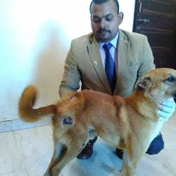Dr Surya Best Veterinary Doctor In Lucknow