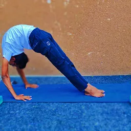 Drishta Yoga Center |Yoga Classes| Home Yoga Classes|Hisar|Haryana