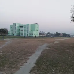 DS College Field
