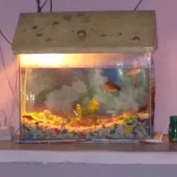 Durga Fish Aquarium