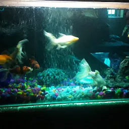 Durga Fish Aquarium