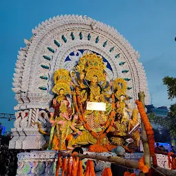 Durga Puja Mandap, Vanibihar square, Bhubaneswar.