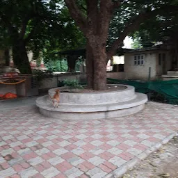 Dutt Mandir