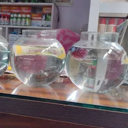 Dwarka Hobby Shop Aquarium