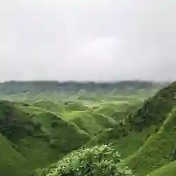Dzükou Valley, Nagaland