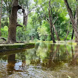 Eco Resort