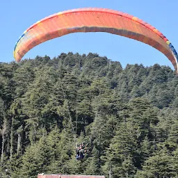 Eco Travellers - Best Travel Agency in Himachal Pradesh | Paragliding, Taxi, Hotel Booking