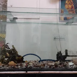 Edward Fish Aquarium