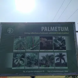Ekamra Kanan Palmetum (ଏକାମ୍ର କାନନ ପାଲମେଟମ୍)