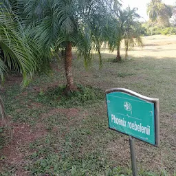 Ekamra Kanan Palmetum (ଏକାମ୍ର କାନନ ପାଲମେଟମ୍)