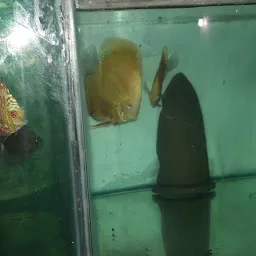Ekveera Aquarium