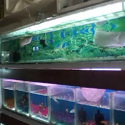 Ekveera Aquarium