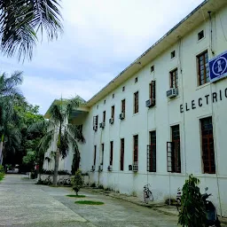 Electrical Department Lawn