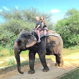 EleFanJoy Best Wildlife Elephant Sanctuary In Jaipur