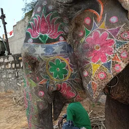 EleFanJoy Best Wildlife Elephant Sanctuary In Jaipur