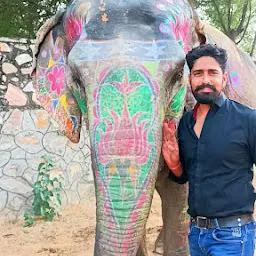 EleFanJoy Best Wildlife Elephant Sanctuary In Jaipur