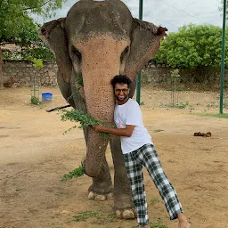 Elefunenjoy| Elephant Sanctuary In Jaipur