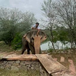 Elefunenjoy| Elephant Sanctuary In Jaipur