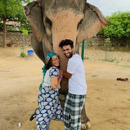 Elefunenjoy| Elephant Sanctuary In Jaipur